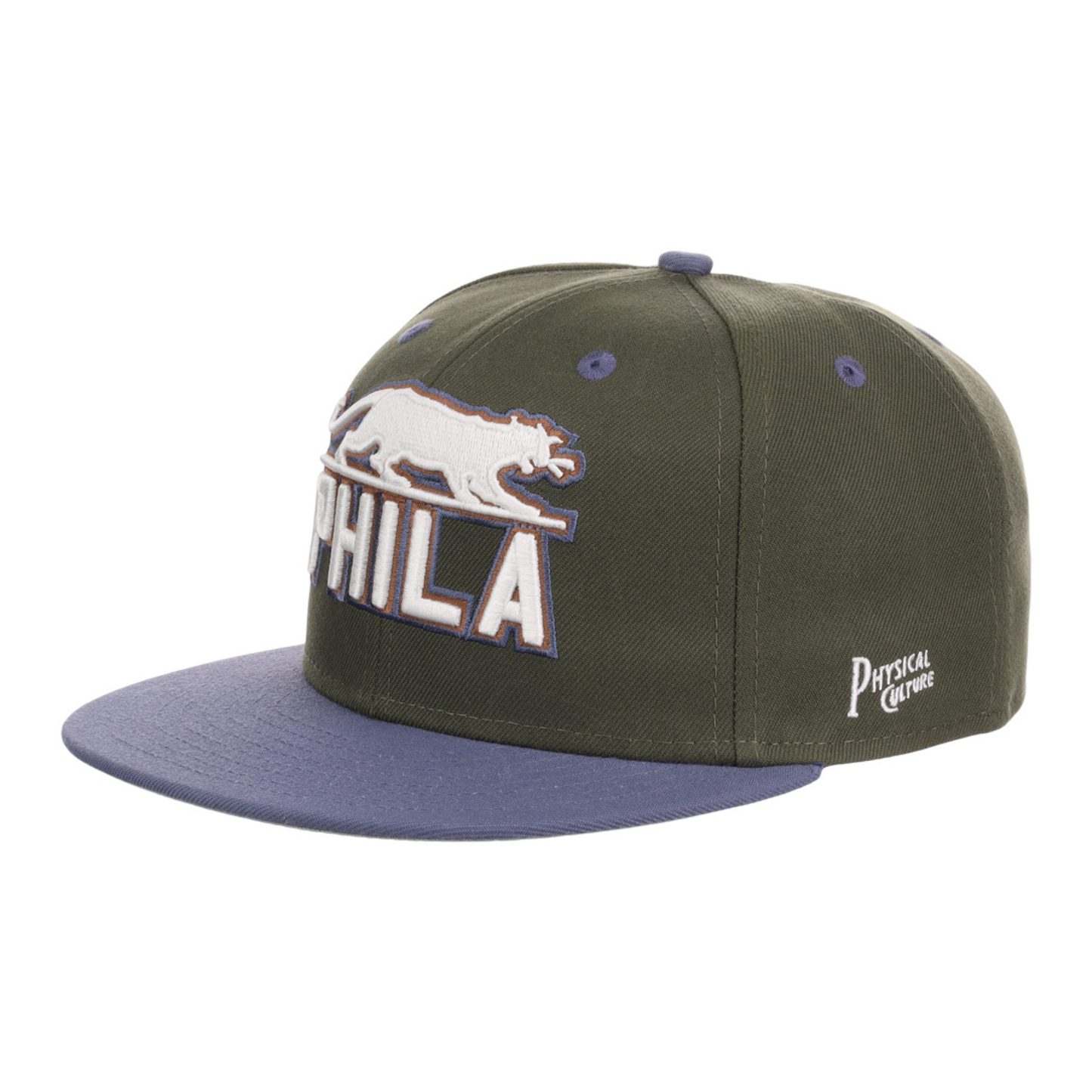 Philadelphia Panthers Mossy Slate Fitted