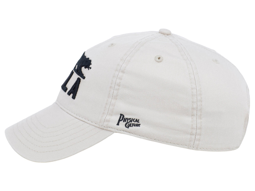 Philadelphia Panthers Dad Cap