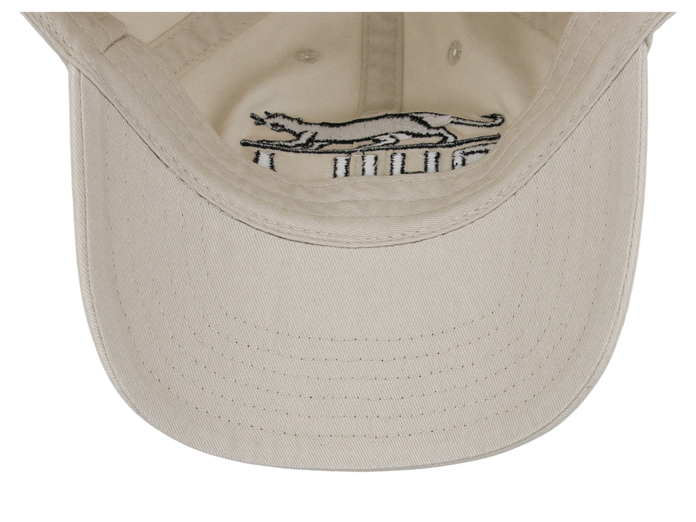 Philadelphia Panthers Dad Cap
