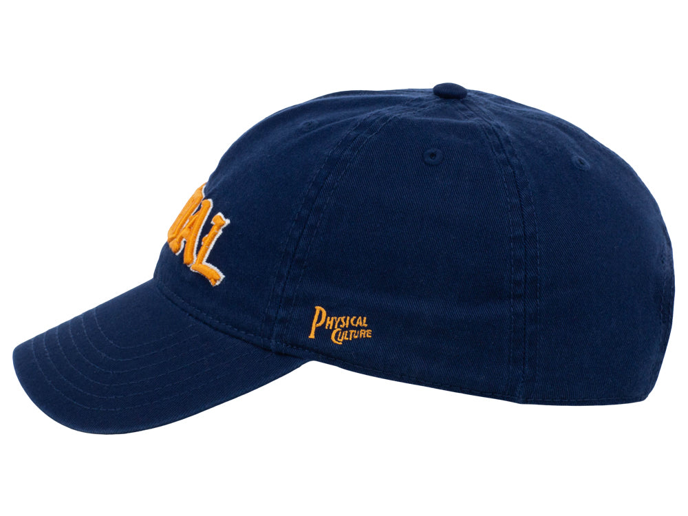 Vandal Athletic Club Dad Cap