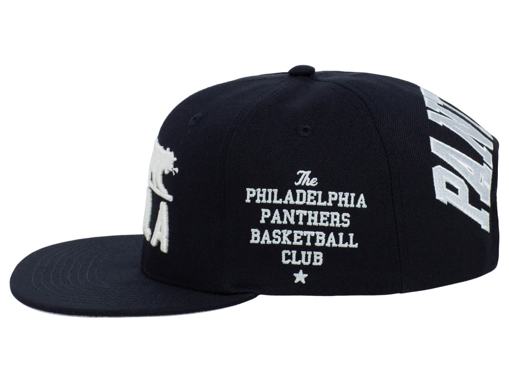 Philadelphia Panthers City Arch Snapback Youth