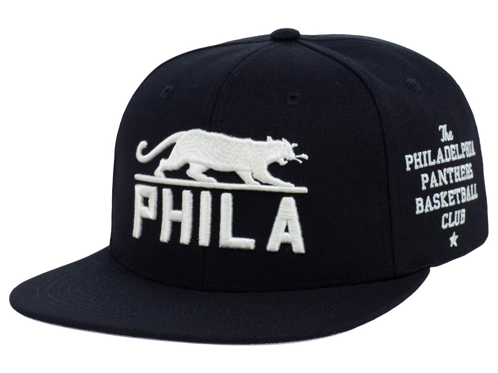Philadelphia Panthers City Arch Snapback Youth