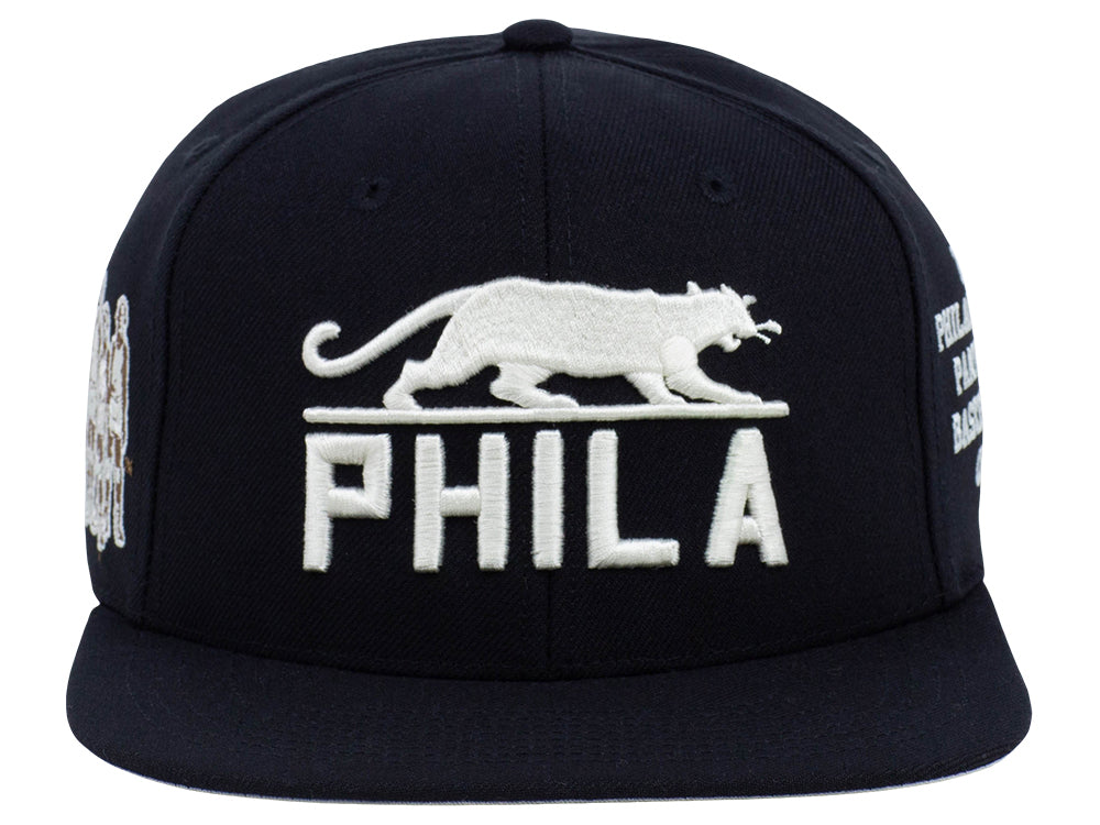Philadelphia Panthers City Arch Snapback Youth
