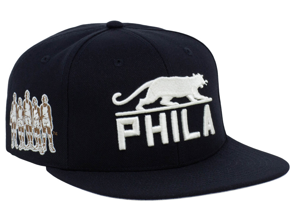 Philadelphia Panthers City Arch Snapback Youth