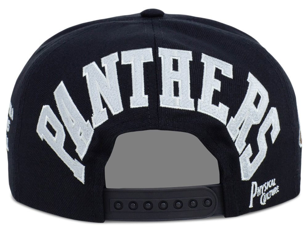 Philadelphia Panthers City Arch Snapback Youth