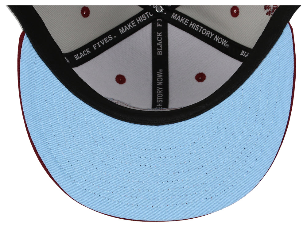 Philadelphia Panthers Storm Chasers Gray/Maroon/Sky Blue Fitted