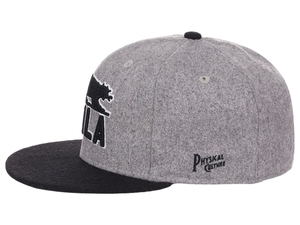 Philadelphia Panthers Walk Off Wool Gray/Black/Green Fitted