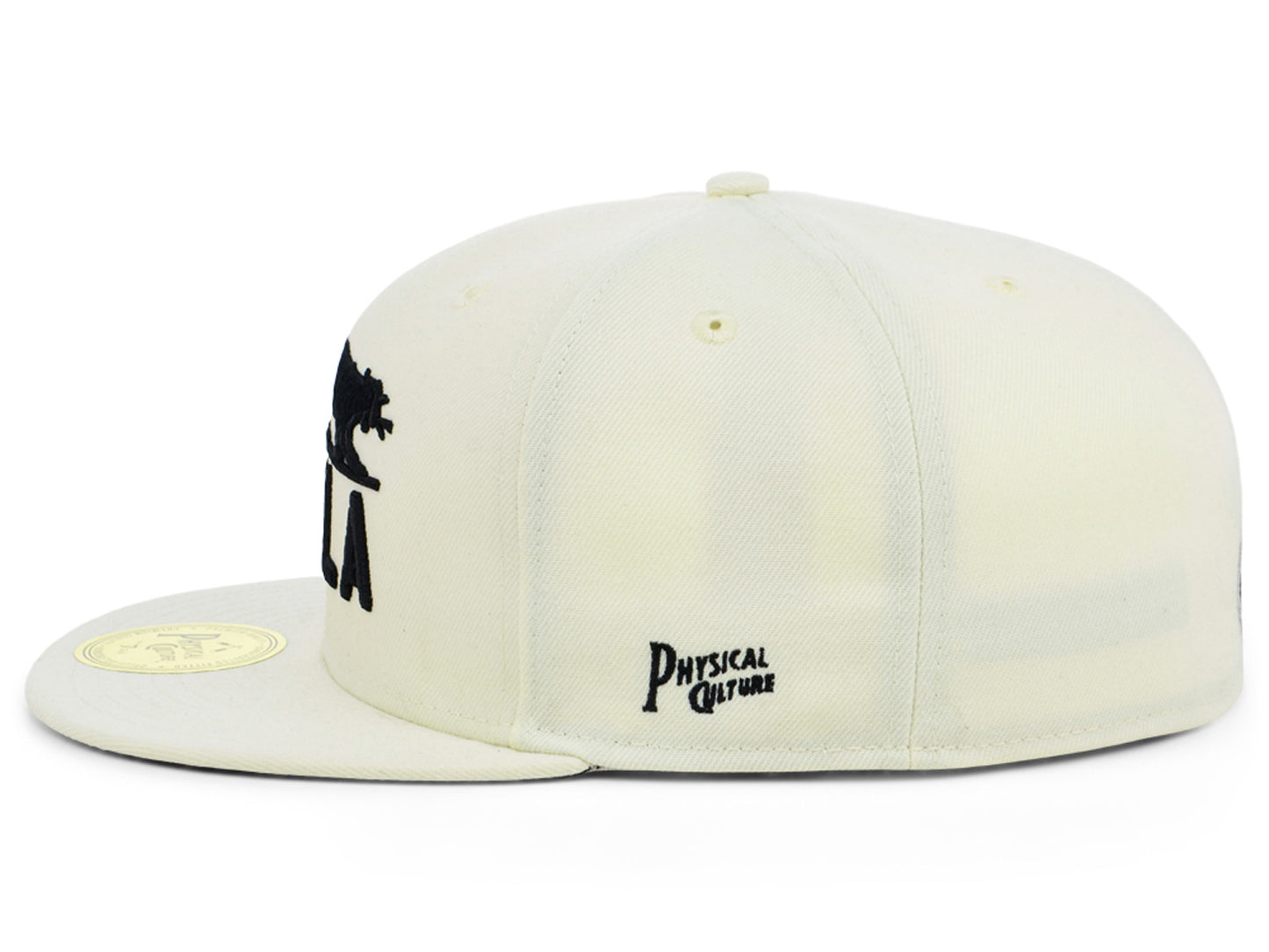 Philadelphia Panthers "PHILA" Fitted Cap