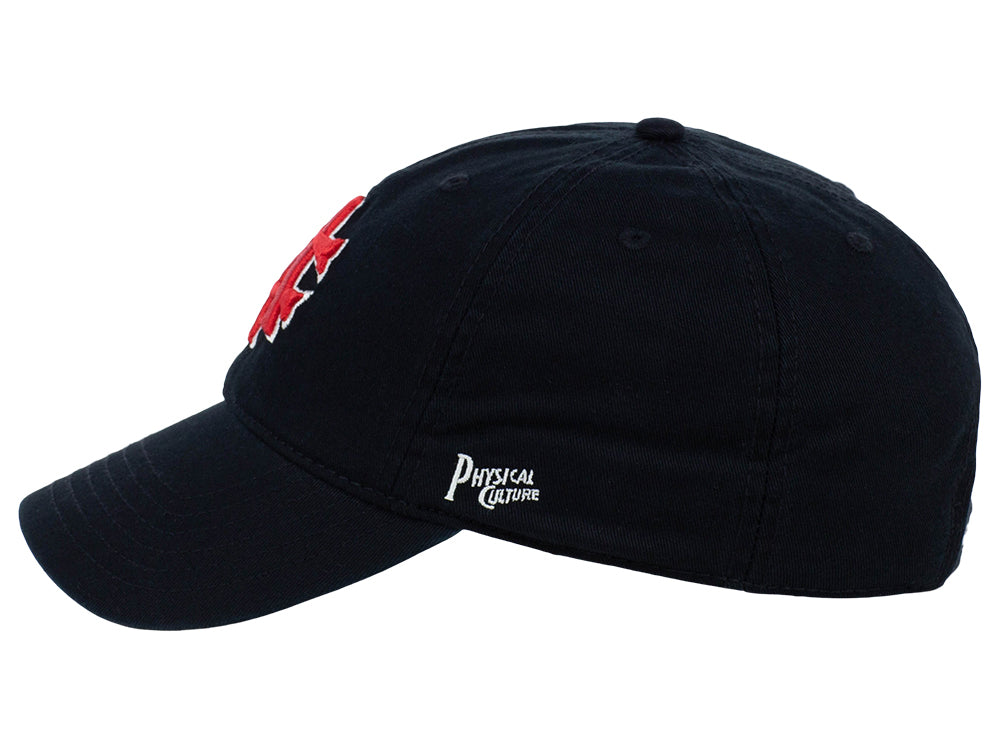 Washington 12 Streeters Dad Cap