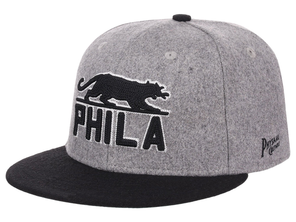 Philadelphia Panthers Walk Off Wool Gray/Black/Green Fitted
