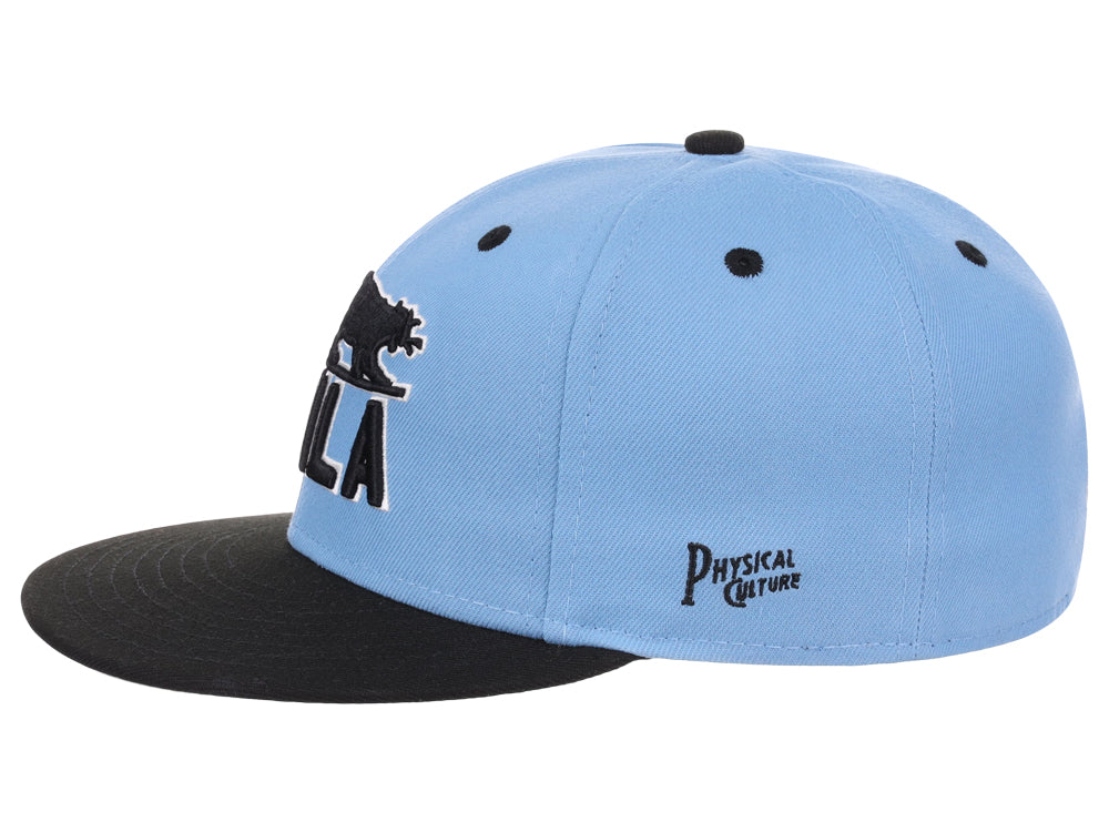 Philadelphia Panthers Sky Blue Fitted Sky Blue/Black/Gray