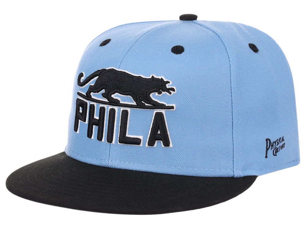 Philadelphia Panthers Sky Blue Fitted Sky Blue/Black/Gray