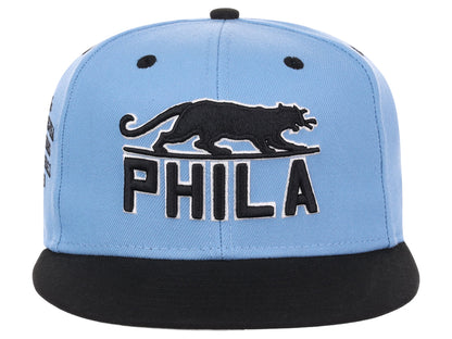 Philadelphia Panthers Sky Blue Fitted Sky Blue/Black/Gray